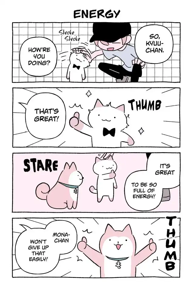 Wonder Cat Kyuu-chan Chapter 620 1